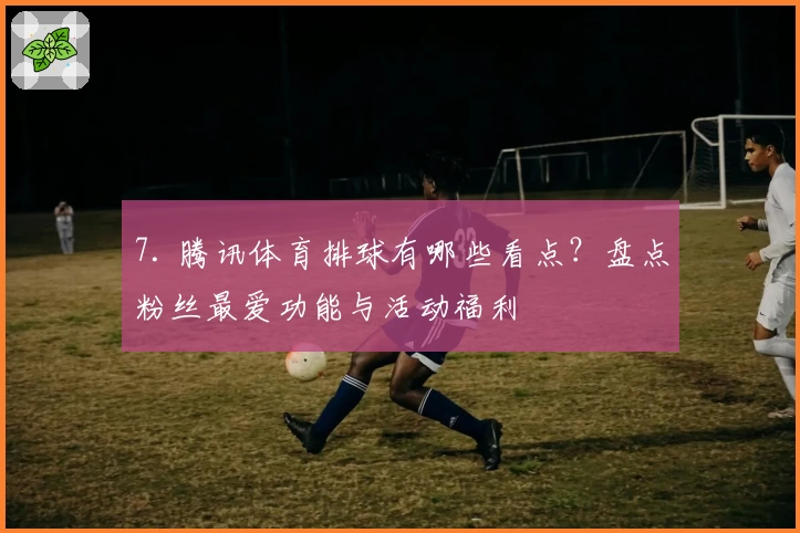 7. 腾讯体育排球有哪些看点？盘点粉丝最爱功能与活动福利